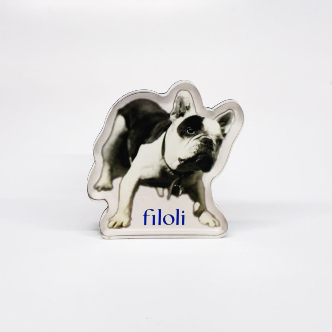 Toto Magnet